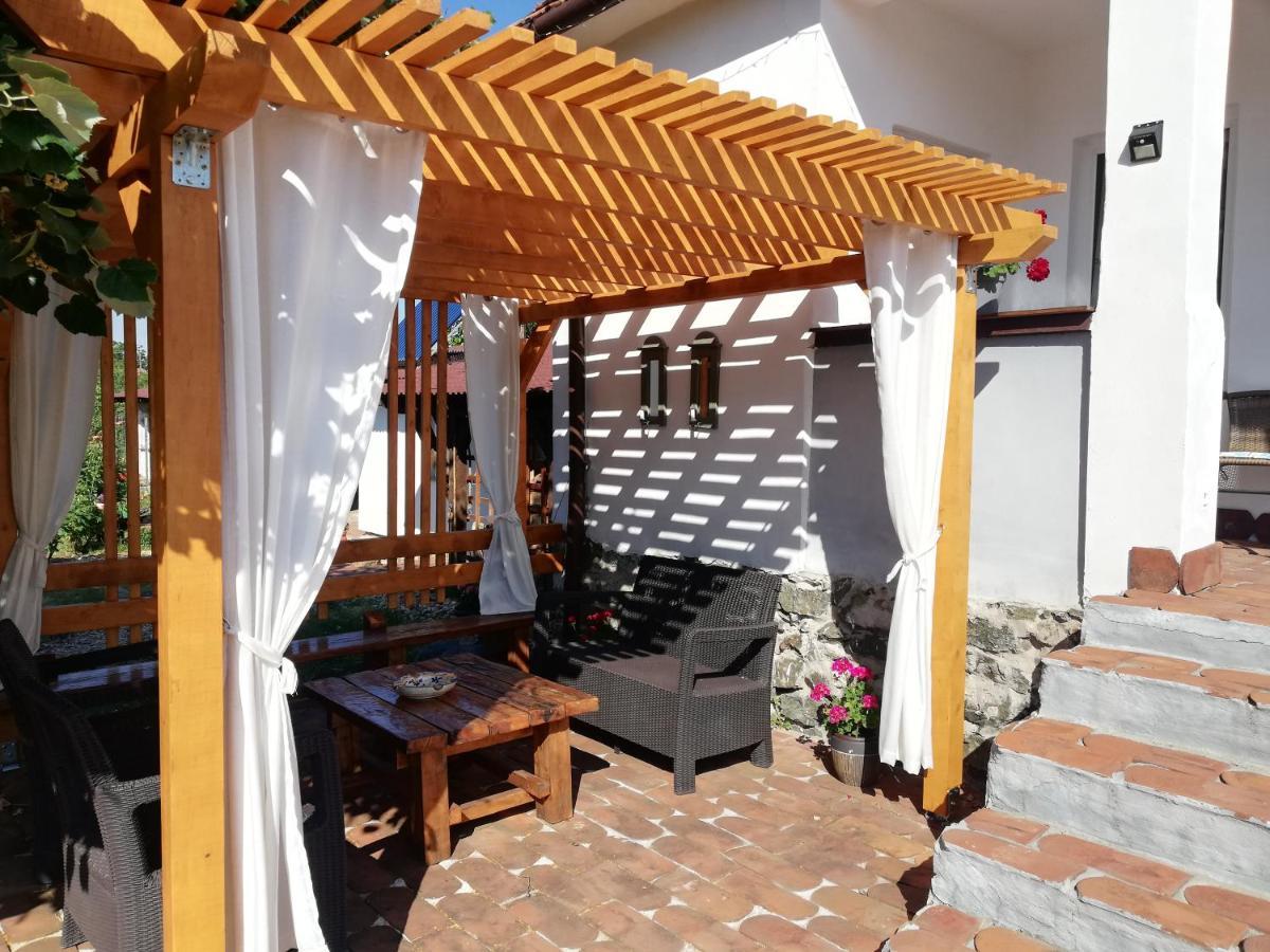 Casa Ago - Guest House Păuliş エクステリア 写真