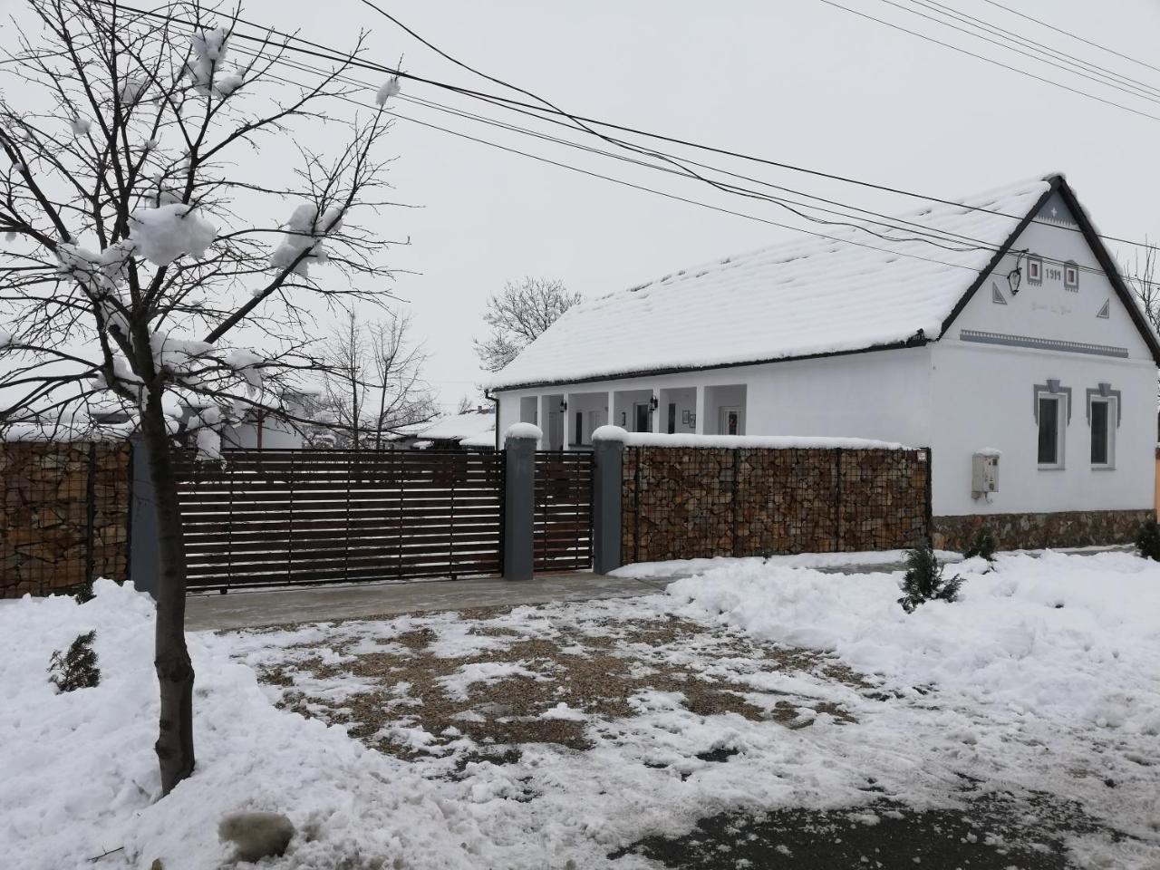 Casa Ago - Guest House Păuliş エクステリア 写真
